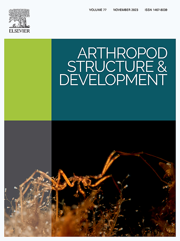 Go to journal home page - Arthropod Structure & Development